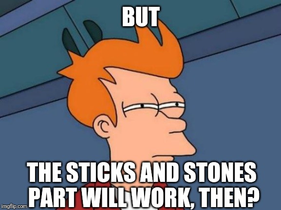 Futurama Fry Meme | BUT THE STICKS AND STONES PART WILL WORK, THEN? | image tagged in memes,futurama fry | made w/ Imgflip meme maker