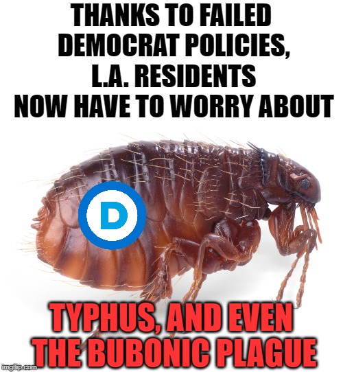 These diseases are unheard of in a developed nation. | THANKS TO FAILED DEMOCRAT POLICIES, L.A. RESIDENTS NOW HAVE TO WORRY ABOUT; TYPHUS, AND EVEN THE BUBONIC PLAGUE | image tagged in flea,failed democrats | made w/ Imgflip meme maker