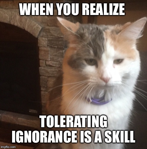 When you realize | WHEN YOU REALIZE; TOLERATING IGNORANCE IS A SKILL | image tagged in when you realize | made w/ Imgflip meme maker