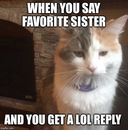 When you realize | WHEN YOU SAY FAVORITE SISTER; AND YOU GET A LOL REPLY | image tagged in when you realize | made w/ Imgflip meme maker