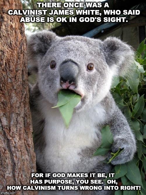 Surprised Koala Meme | THERE ONCE WAS A CALVINIST JAMES WHITE, WHO SAID ABUSE IS OK IN GOD'S SIGHT. FOR IF GOD MAKES IT BE, IT HAS PURPOSE, YOU SEE.  OH, HOW CALVINISM TURNS WRONG INTO RIGHT! | image tagged in memes,surprised koala | made w/ Imgflip meme maker