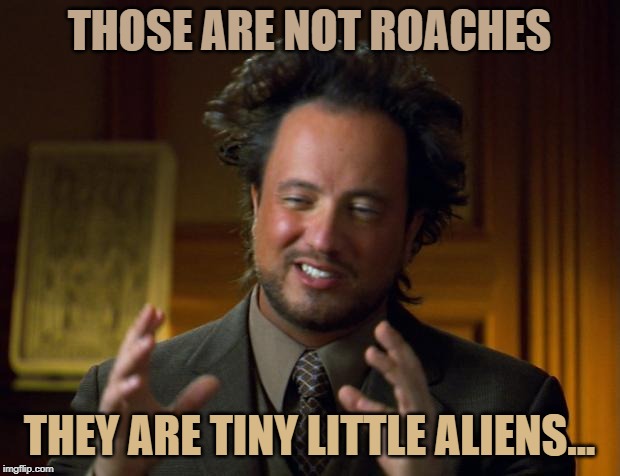 Perfectly Rational Explanation | THOSE ARE NOT ROACHES; THEY ARE TINY LITTLE ALIENS... | image tagged in perfectly rational explanation | made w/ Imgflip meme maker