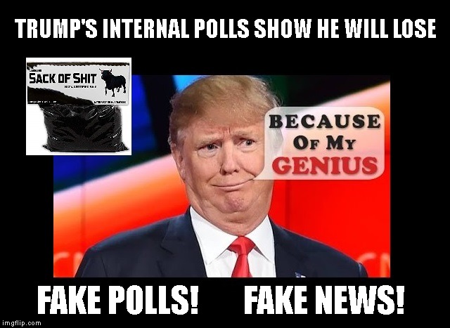 Americans Are Not As Dumb As Trump Thinks | TRUMP'S INTERNAL POLLS SHOW HE WILL LOSE; FAKE POLLS!       FAKE NEWS! | image tagged in donald trump is an idiot,trump is a moron,impeach trump | made w/ Imgflip meme maker