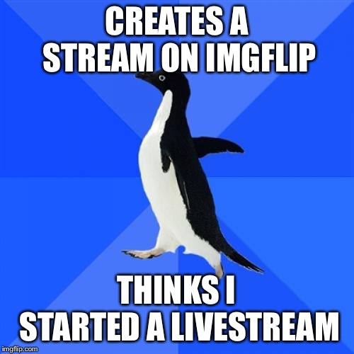 Socially Awkward Penguin | CREATES A STREAM ON IMGFLIP; THINKS I STARTED A LIVESTREAM | image tagged in memes,socially awkward penguin | made w/ Imgflip meme maker