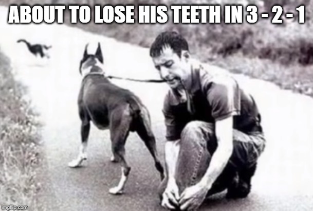 Thinks :  I've got a dentist appointment tomorrow | ABOUT TO LOSE HIS TEETH IN 3 - 2 - 1 | image tagged in cat,dog,teeth | made w/ Imgflip meme maker