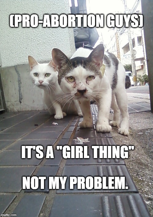 Tomcats | (PRO-ABORTION GUYS); IT'S A "GIRL THING"; NOT MY PROBLEM. | image tagged in tomcats | made w/ Imgflip meme maker