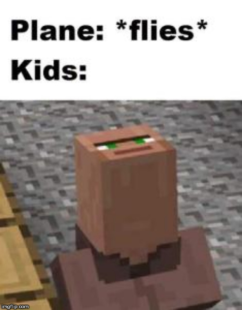 My brother sent this to me | image tagged in minecraft,airplane,kids,derp | made w/ Imgflip meme maker
