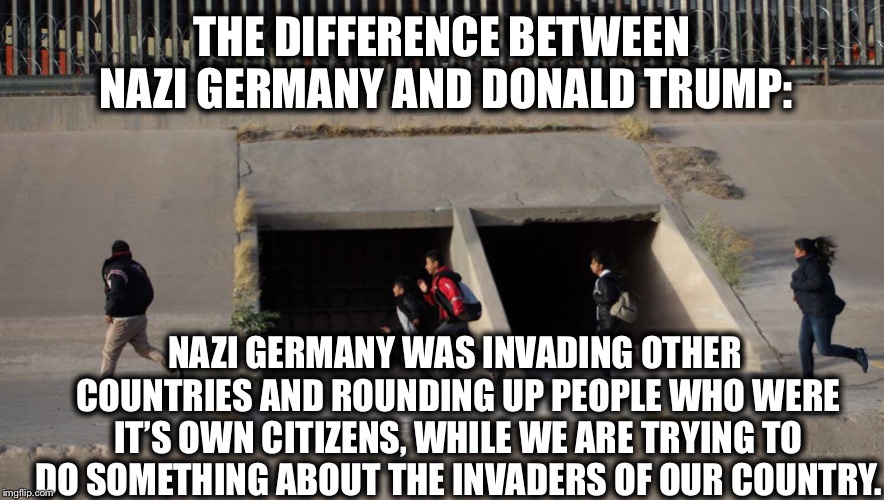 THE DIFFERENCE BETWEEN NAZI GERMANY AND DONALD TRUMP:; NAZI GERMANY WAS INVADING OTHER COUNTRIES AND ROUNDING UP PEOPLE WHO WERE IT’S OWN CITIZENS, WHILE WE ARE TRYING TO DO SOMETHING ABOUT THE INVADERS OF OUR COUNTRY. | image tagged in illegal immigration,nazis,germany,hitler,united states,president trump | made w/ Imgflip meme maker