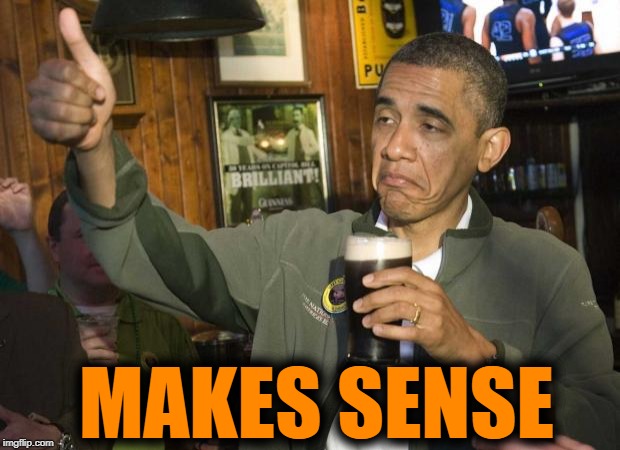 Obama beer | MAKES SENSE | image tagged in obama beer | made w/ Imgflip meme maker