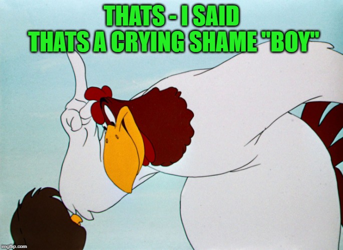 fog horn | THATS - I SAID THATS A CRYING SHAME "BOY" | image tagged in fog horn | made w/ Imgflip meme maker