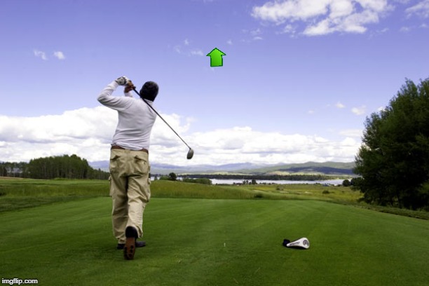 Golfer | image tagged in golfer | made w/ Imgflip meme maker