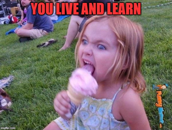 This ice cream tastes like your soul | YOU LIVE AND LEARN | image tagged in this ice cream tastes like your soul | made w/ Imgflip meme maker