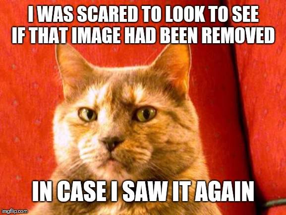 Suspicious Cat Meme | I WAS SCARED TO LOOK TO SEE IF THAT IMAGE HAD BEEN REMOVED IN CASE I SAW IT AGAIN | image tagged in memes,suspicious cat | made w/ Imgflip meme maker