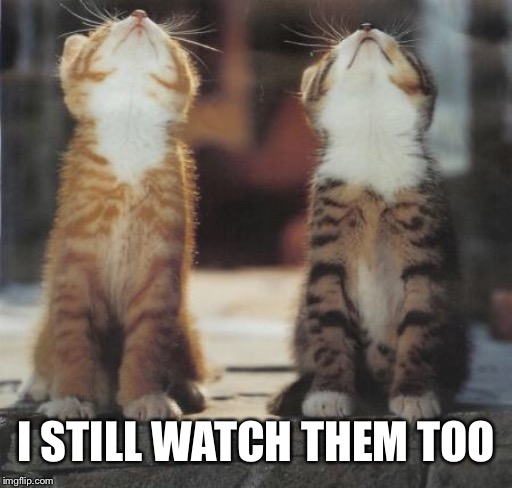 cats looking up | I STILL WATCH THEM TOO | image tagged in cats looking up | made w/ Imgflip meme maker