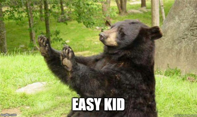 How about no bear | EASY KID | image tagged in how about no bear | made w/ Imgflip meme maker