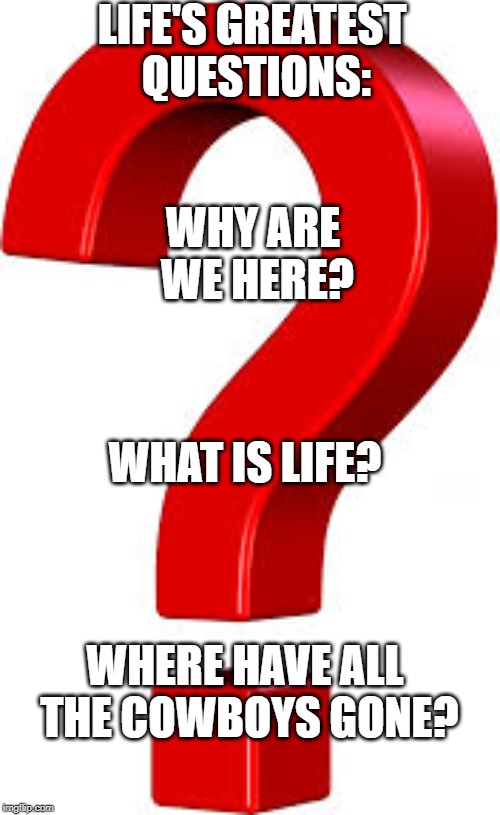 So Many Questions | LIFE'S GREATEST QUESTIONS:; WHY ARE WE HERE? WHAT IS LIFE? WHERE HAVE ALL THE COWBOYS GONE? | image tagged in 3d question mark | made w/ Imgflip meme maker