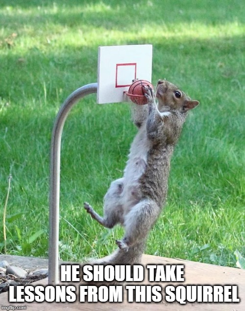 Squirrel basketball | HE SHOULD TAKE LESSONS FROM THIS SQUIRREL | image tagged in squirrel basketball | made w/ Imgflip meme maker
