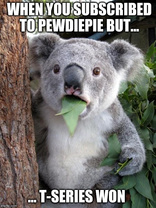 Surprised Koala Meme | WHEN YOU SUBSCRIBED TO PEWDIEPIE BUT... ... T-SERIES WON | image tagged in memes,surprised koala | made w/ Imgflip meme maker