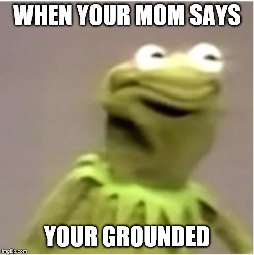 Kirmit Triggerd | WHEN YOUR MOM SAYS; YOUR GROUNDED | image tagged in kirmit triggerd | made w/ Imgflip meme maker