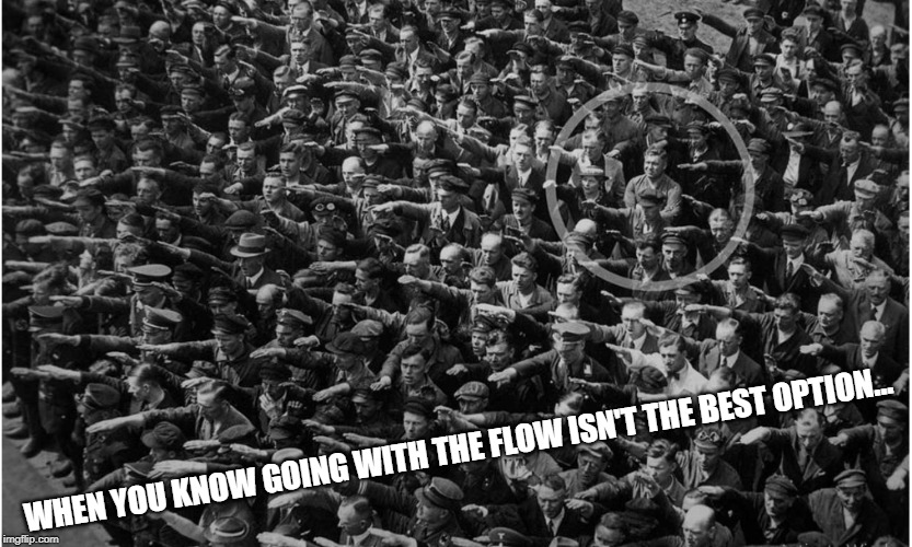 WHEN YOU KNOW GOING WITH THE FLOW ISN'T THE BEST OPTION... | image tagged in nazis | made w/ Imgflip meme maker