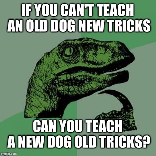 Philosoraptor Meme | IF YOU CAN'T TEACH AN OLD DOG NEW TRICKS; CAN YOU TEACH A NEW DOG OLD TRICKS? | image tagged in memes,philosoraptor | made w/ Imgflip meme maker