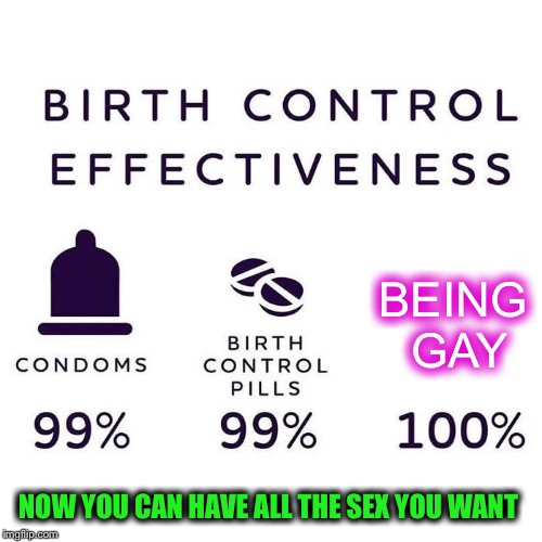 Birth Control Effectiveness | BEING GAY NOW YOU CAN HAVE ALL THE SEX YOU WANT | image tagged in birth control effectiveness | made w/ Imgflip meme maker