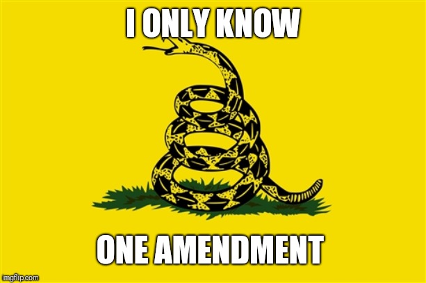 dont tread on me | I ONLY KNOW; ONE AMENDMENT | image tagged in dont tread on me | made w/ Imgflip meme maker