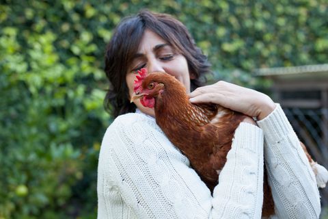 Woman with pet chicken Blank Meme Template