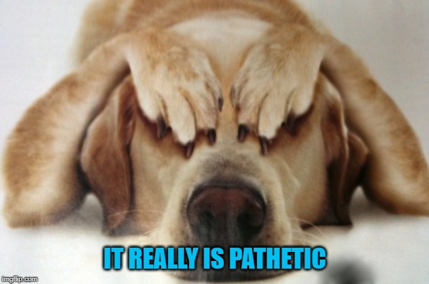 IT REALLY IS PATHETIC | made w/ Imgflip meme maker