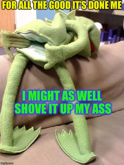 Kermit anal | FOR ALL THE GOOD IT’S DONE ME I MIGHT AS WELL SHOVE IT UP MY ASS | image tagged in kermit anal | made w/ Imgflip meme maker