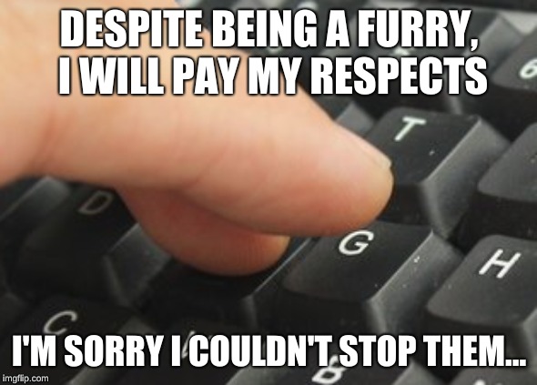 DESPITE BEING A FURRY, I WILL PAY MY RESPECTS I'M SORRY I COULDN'T STOP THEM... | made w/ Imgflip meme maker