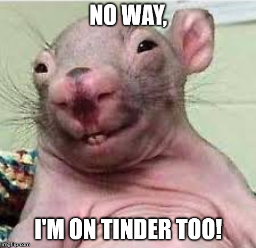 Use however | NO WAY, I'M ON TINDER TOO! | image tagged in use however | made w/ Imgflip meme maker