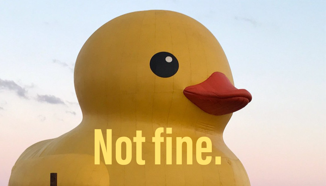 "Not fine."- Duck Blank Meme Template