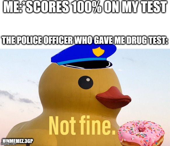 "Not fine."- Duck | ME:*SCORES 100% ON MY TEST; THE POLICE OFFICER WHO GAVE ME DRUG TEST:; HINMEMEZ.3GP | image tagged in not fine- duck | made w/ Imgflip meme maker