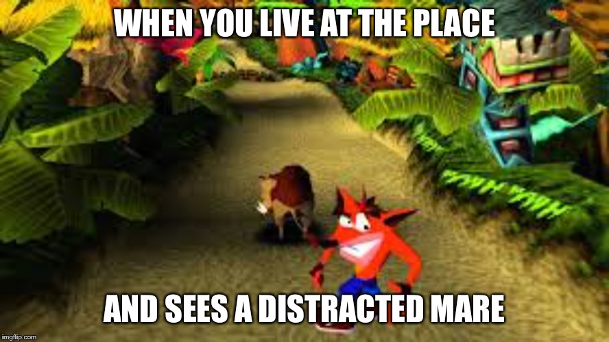 crash bandicoot | WHEN YOU LIVE AT THE PLACE AND SEES A DISTRACTED MARE | image tagged in crash bandicoot | made w/ Imgflip meme maker
