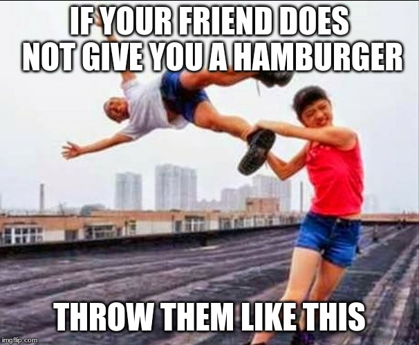 Yeeted | IF YOUR FRIEND DOES NOT GIVE YOU A HAMBURGER; THROW THEM LIKE THIS | image tagged in yeeted | made w/ Imgflip meme maker