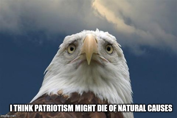 Sad American Eagle | I THINK PATRIOTISM MIGHT DIE OF NATURAL CAUSES | image tagged in sad american eagle | made w/ Imgflip meme maker