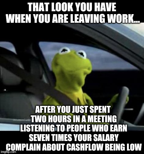 When its your fault cash is low | THAT LOOK YOU HAVE WHEN YOU ARE LEAVING WORK... AFTER YOU JUST SPENT TWO HOURS IN A MEETING LISTENING TO PEOPLE WHO EARN SEVEN TIMES YOUR SALARY COMPLAIN ABOUT CASHFLOW BEING LOW | image tagged in kermit driving | made w/ Imgflip meme maker