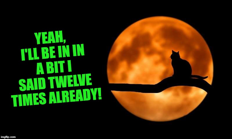 moon cat opportunities | YEAH, I'LL BE IN IN A BIT I SAID TWELVE TIMES ALREADY! | image tagged in moon cat opportunities | made w/ Imgflip meme maker