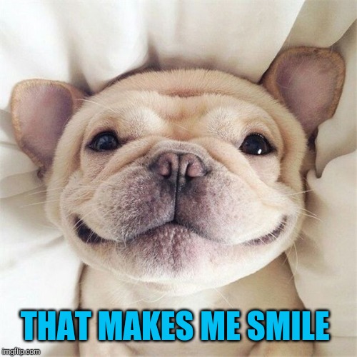 Smiling puppy | THAT MAKES ME SMILE | image tagged in smiling puppy | made w/ Imgflip meme maker