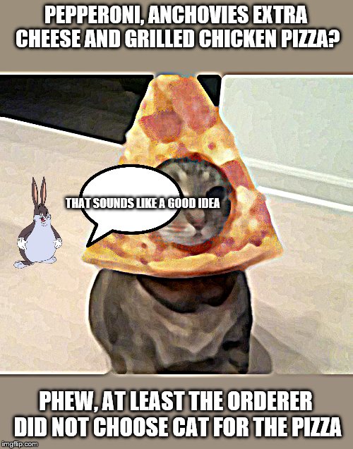 pizza cat | PEPPERONI, ANCHOVIES EXTRA CHEESE AND GRILLED CHICKEN PIZZA? THAT SOUNDS LIKE A GOOD IDEA; PHEW, AT LEAST THE ORDERER DID NOT CHOOSE CAT FOR THE PIZZA | image tagged in pizza cat | made w/ Imgflip meme maker