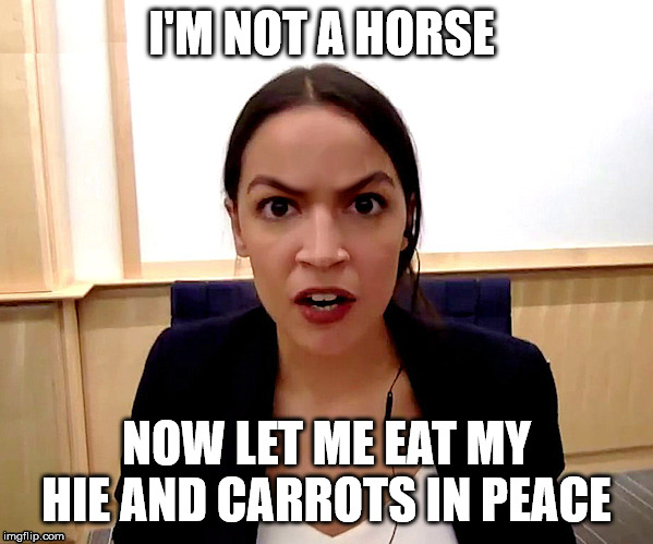 Alexandria Ocasio-Cortez | I'M NOT A HORSE; NOW LET ME EAT MY HIE AND CARROTS IN PEACE | image tagged in alexandria ocasio-cortez | made w/ Imgflip meme maker