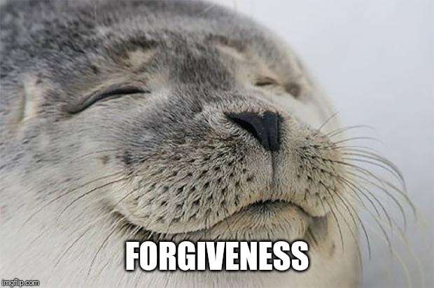 Satisfied Seal Meme | FORGIVENESS | image tagged in memes,satisfied seal | made w/ Imgflip meme maker