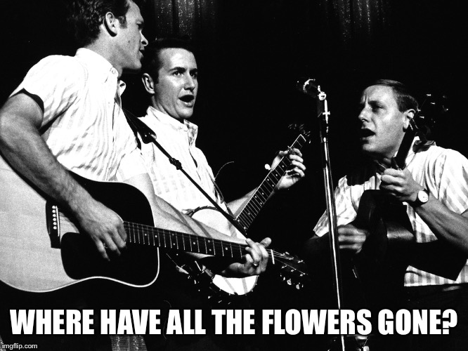 WHERE HAVE ALL THE FLOWERS GONE? | made w/ Imgflip meme maker