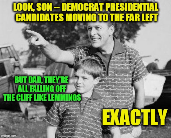 The Wonders of Nature | LOOK, SON -- DEMOCRAT PRESIDENTIAL CANDIDATES MOVING TO THE FAR LEFT; BUT DAD, THEY'RE ALL FALLING OFF THE CLIFF LIKE LEMMINGS; EXACTLY | image tagged in memes,look son,democrat presidential candidates,election 2020 | made w/ Imgflip meme maker