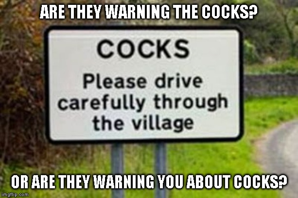 And what do call someone from Cocks? A sucker? | ARE THEY WARNING THE COCKS? OR ARE THEY WARNING YOU ABOUT COCKS? | image tagged in silly signs,humor | made w/ Imgflip meme maker