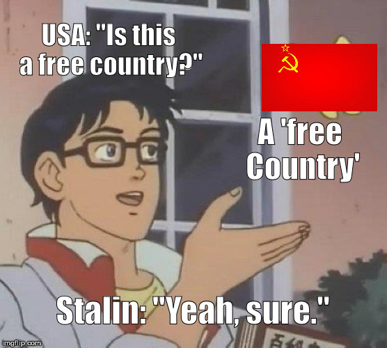 I swear this country's free. | USA: "Is this a free country?"; A 'free Country'; Stalin: "Yeah, sure." | image tagged in memes,is this a pigeon | made w/ Imgflip meme maker