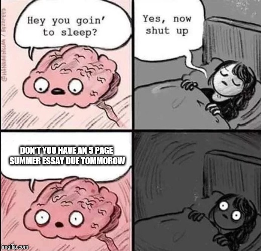 waking up brain | DON'T YOU HAVE AN 5 PAGE SUMMER ESSAY DUE TOMMOROW | image tagged in waking up brain | made w/ Imgflip meme maker