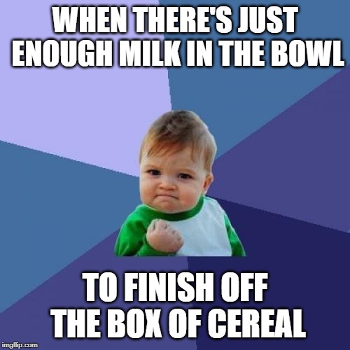 We take victory where we can | WHEN THERE'S JUST ENOUGH MILK IN THE BOWL; TO FINISH OFF THE BOX OF CEREAL | image tagged in memes,success kid,milk,cereal | made w/ Imgflip meme maker