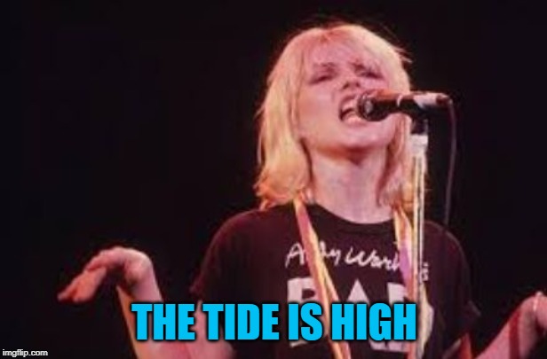 Blondie | THE TIDE IS HIGH | image tagged in blondie | made w/ Imgflip meme maker